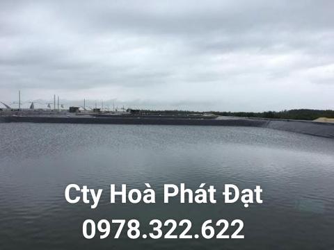 Chuyên cung cấp thi công màng bạt nhựa HDPE lót, trải ao hồ nuôi tôm cá, thủy hải sản giá rẻ tại Bạc Liêu