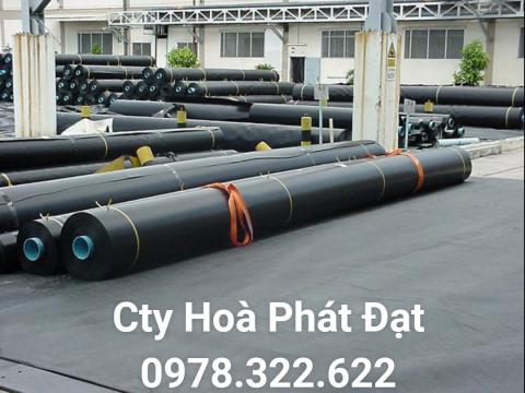 Chuyên cung cấp thi công màng bạt nhựa HDPE lót, trải ao hồ nuôi tôm cá, thủy hải sản giá rẻ tại Biên Hoà Đồng Nai