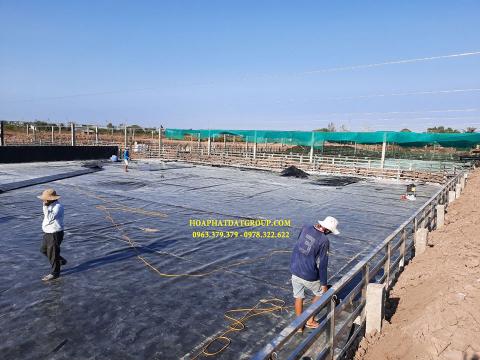 Báo giá bán lẻ màng bạt nhựa chống thấm HDPE màu xanh đen lót ao hồ bờ ao chứa nước giá rẻ tại Nam Định